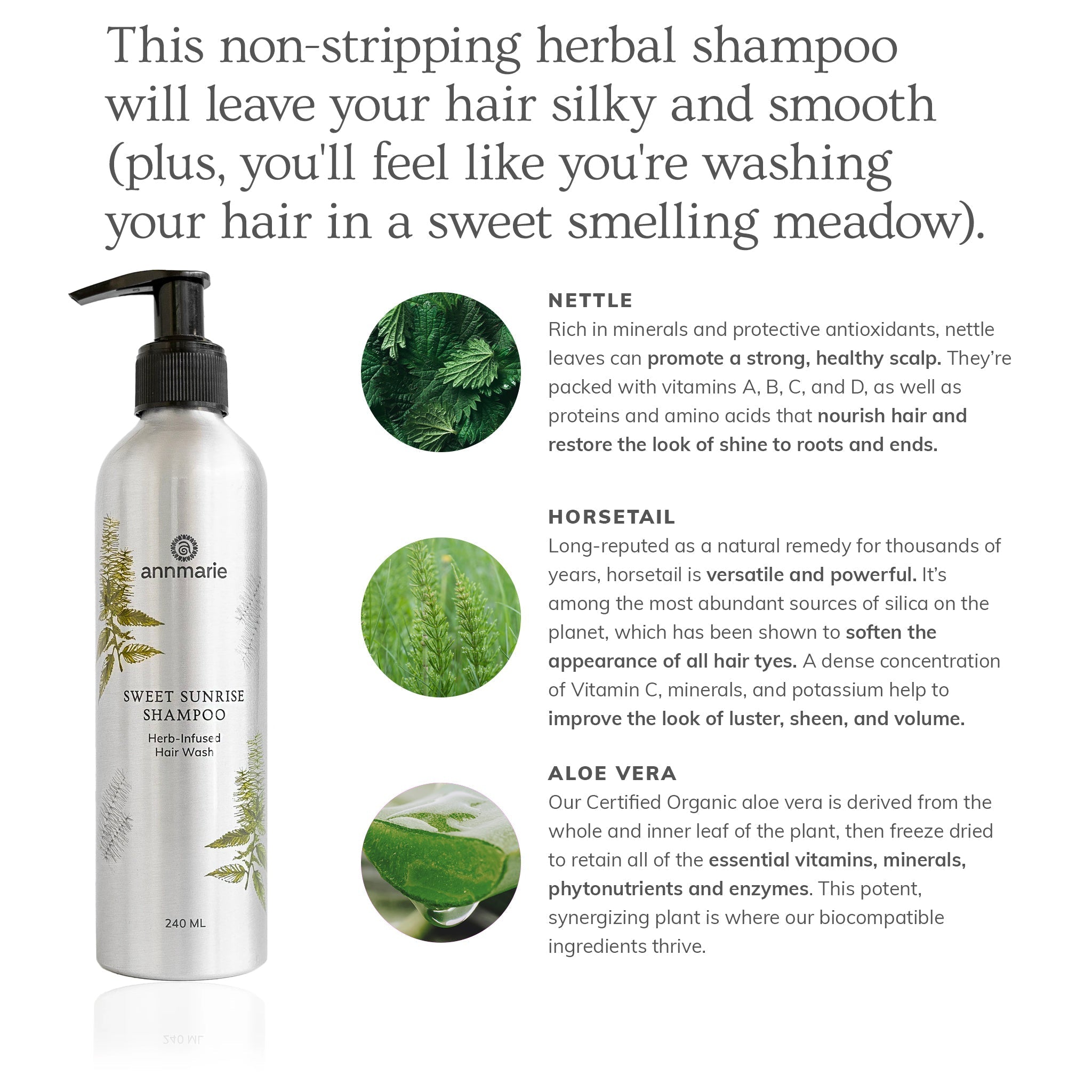Sweet Sunrise Shampoo by Annmarie Skin Care in 240ml bottle, gentle hair cleanser with natural ingredients.