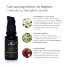 Annmarie Skin Care Wild Fruit Serum brightening facial complex in 15ml bottle, natural skincare product for glowing skin