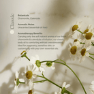 Unscented Vitamin C Body Oil by Apoterra, a nourishing bath and body oil with brightening skincare benefits.