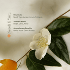 Apoterra Vitamin C Body Oil with neroli and yuzu, hydrating bath and body oil for glowing skin and antioxidant benefits.