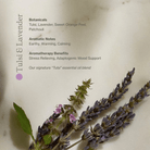 Apoterra Vitamin C Body Oil with tulsi and lavender for nourishing bath and body skincare, promoting relaxation and rejuvenation.