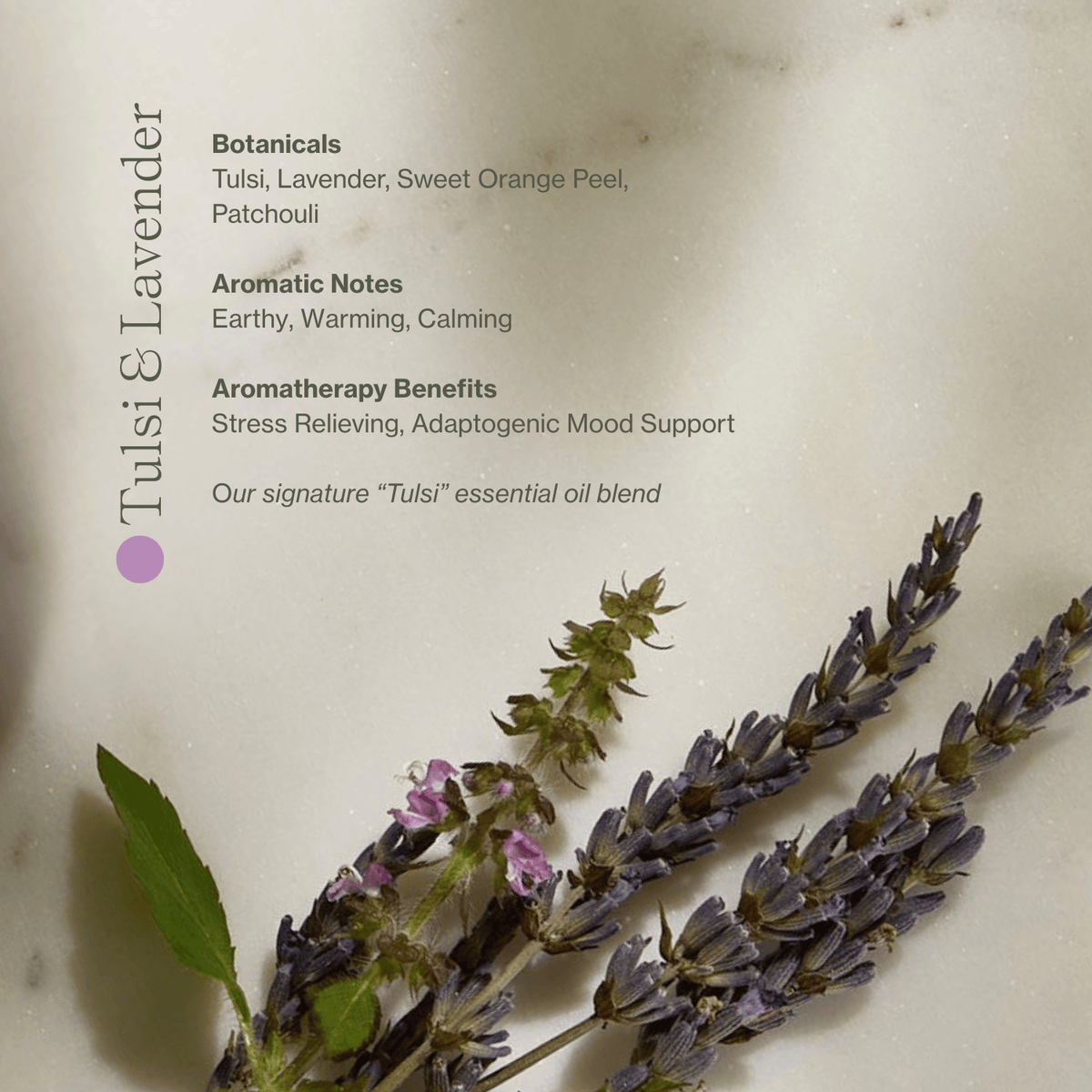 Apoterra Vitamin C Body Oil with tulsi and lavender for nourishing bath and body skincare, promoting relaxation and rejuvenation.
