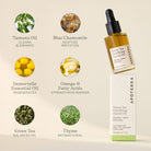 Green Tea Clarifying Facial Oil by Apoterra, featuring fresh green tea ingredients and natural botanical extracts for skin clarity.