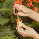 Dropper filled with Apoterra Rose Nourishing Facial Oil showing its luxurious, pink-hued liquid in a clear glass bottle.