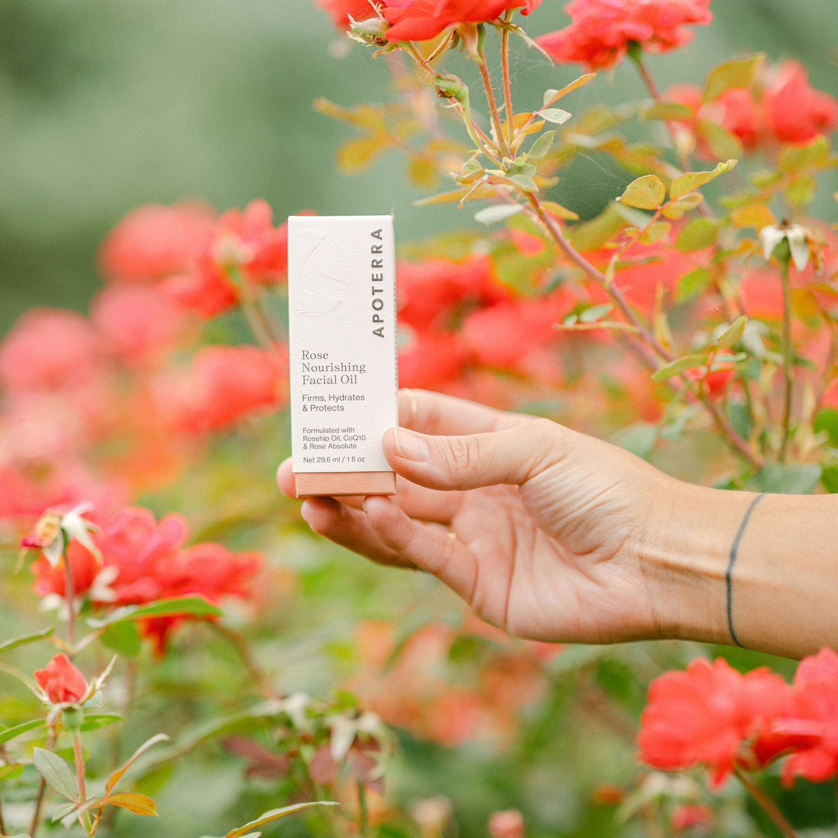 Apoterra Rose Nourishing Facial Oil with floral ingredients, showcasing a glass bottle surrounded by fresh roses and botanicals.