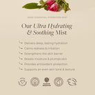 Apoterra Rose Hydrating Mist toner in a spray bottle, featuring rose extract and natural ingredients for skin hydration and refreshment.