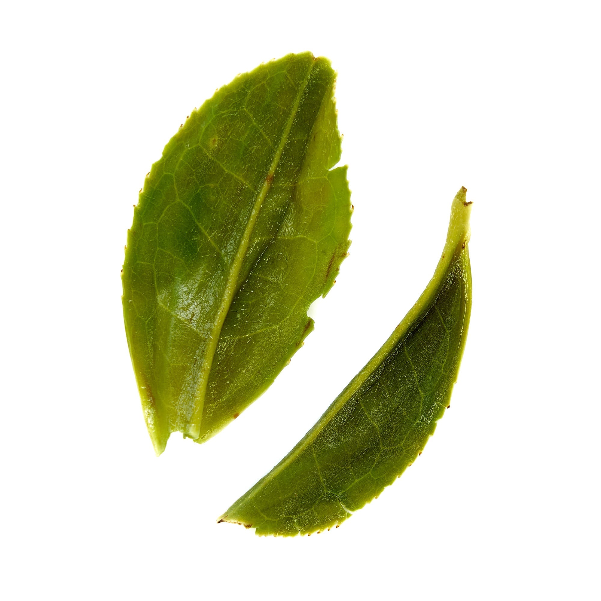 Single estate Pi Lo Chun green tea from Rare Leaves Emerald by August Uncommon Tea in a 60g tin, showcasing fresh green tea leaves.