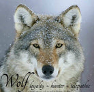 Celtic Crystal Design Jewelry Forest Song Wolf Post Earrings featuring intricate wolf motifs on silver-tone posts.