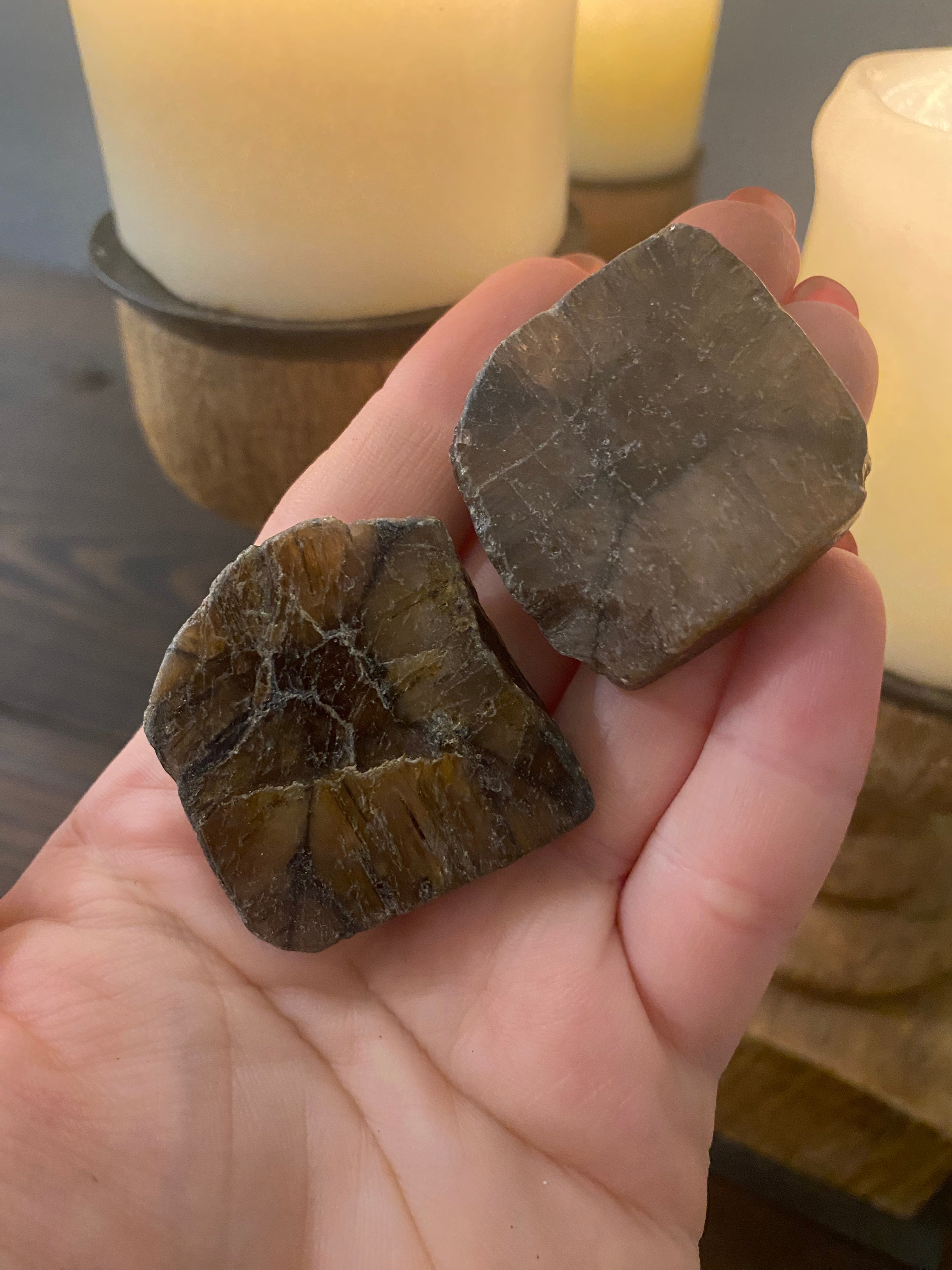 Chiastolite Slice Specimen - Practical Magic Store