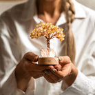 Golden Lamp of Wealth night light featuring a Citrine Tree from Conscious Items, showcasing a decorative and luminous gemstone design.