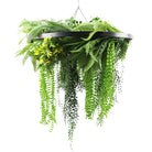 Black framed hanging planter with draping UV-resistant artificial ferns and plants, 31.5-inch circular chandelier for indoor or outdoor decor.