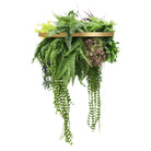 Artificial hanging plant chandelier with tropical foliage, gold circular frame, UV resistant, featuring draping stems for indoor or outdoor decor.