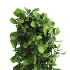 Artificial Creeping Fig Garland by Designer Plants USA, UV-resistant hanging bush, 7.1×30 inches, fire-rated NFPA701 for outdoor decor.