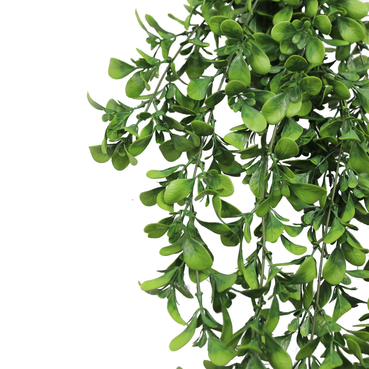 Artificial creeping fig garland by Designer Plants USA, UV resistant hanging bush, 7.1x30 inches, fire-rated for indoor or outdoor use.