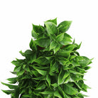 Artificial hanging Pothos bush with dense green foliage, UV resistant and fire-rated, measuring 10.6x28.5 inches, by Designer Plants USA