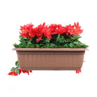 Back view of Designer Plants USA artificial draping poinsettia window box planter, 20x14 inches, UV resistant, hanging faux plant.