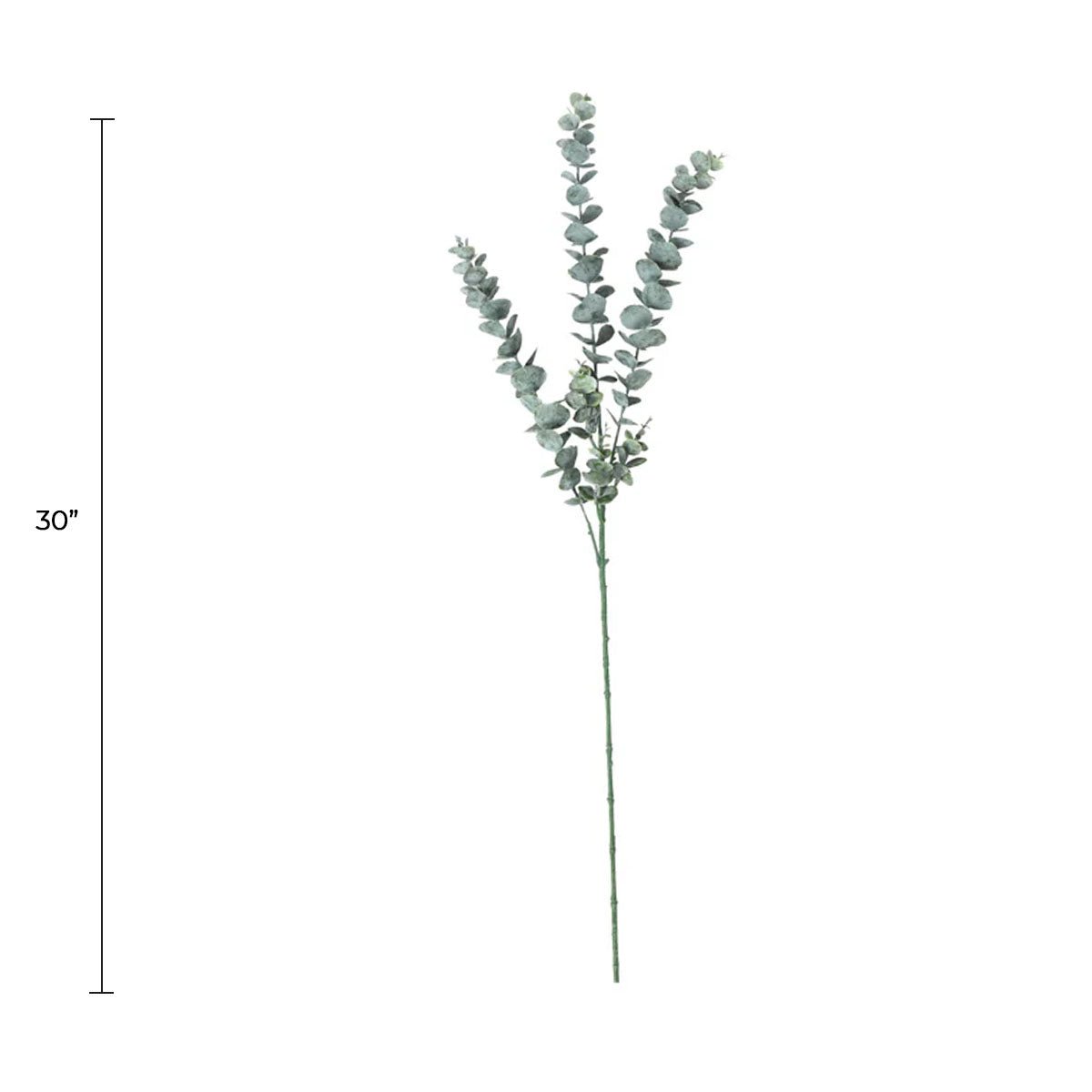 Set of 25 artificial eucalyptus hanging stems from Designer Plants USA, 30 inches tall, perfect for decorative floral arrangements.