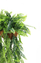 Artificial fern hanging basket from Designer Plants USA, UV resistant, measuring 13.8x49.2 inches, suitable for outdoor decor.