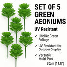 Set of 5 green artificial Aeoniums succulents topiary, 11.8 inches, UV resistant outdoor hanging plants from Designer Plants USA