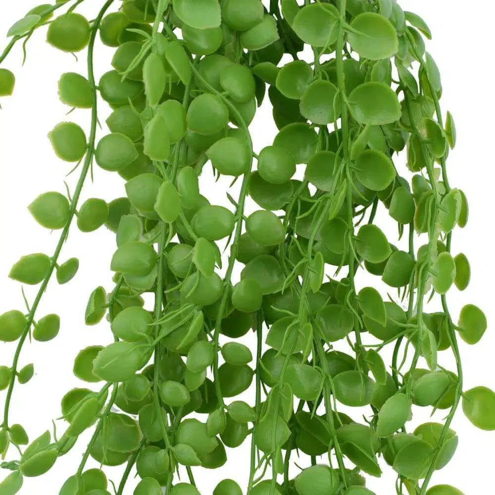 Set of 5 35-inch UV-resistant artificial hanging pearl plants with beads by Designer Plants USA, ideal for wall decor.