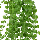 Set of 5 35-inch UV-resistant artificial hanging pearl plants with beads by Designer Plants USA, ideal for wall decor.