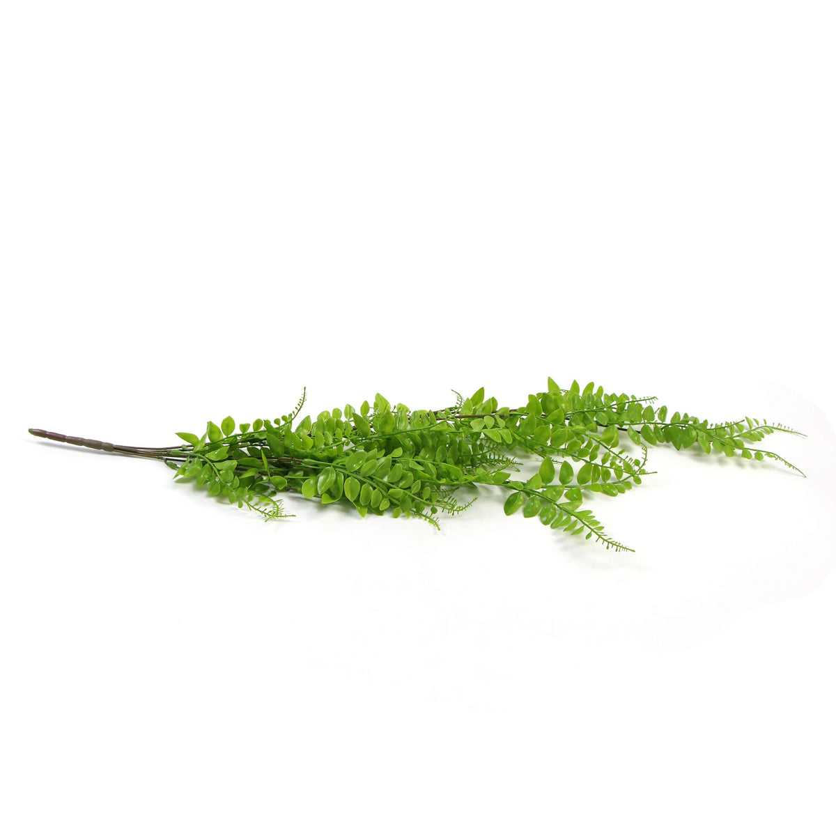 Light green artificial Button Fern hanging plant in side view, 31 inches tall, UV resistant, from Designer Plants USA.