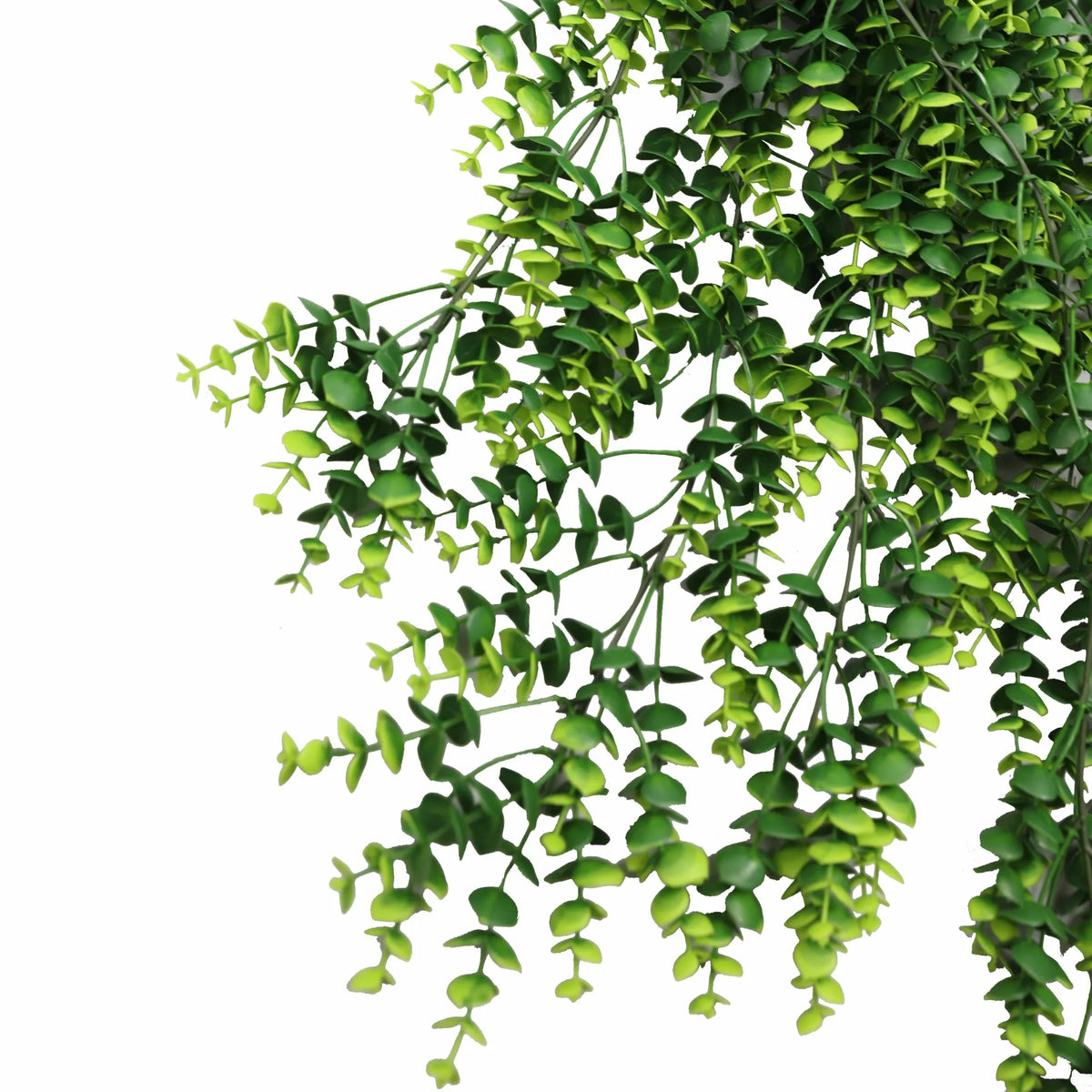 Artificial lush green eucalyptus garland hanging bush, UV resistant and fire-rated, measures 7.1x30.5 inches from Designer Plants USA.