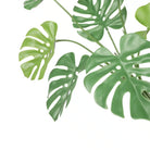 Artificial Monstera Split Leaf Philodendron plant stem, 24 inches, UV resistant for hanging indoor or outdoor decor, by Designer Plants USA