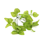 Artificial Philodendron Golden Leaf hanging bush with lush, spread-out green and yellow leaves, 11-inch Designer Plants USA.