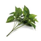 Artificial Pothos Devil's Ivy hanging bush, 9.5 inches, with lush green leaves, top view of Designer Plants USA's realistic faux plant.