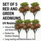 Set of five red and green Aeoniums artificial succulents, UV resistant topiary set, 11.8 inches tall, for hanging or decorative use.