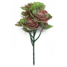 Artificial red and green Aeoniums succulent topiary set of 5, 11.8 inches, UV resistant, ideal for decorative hanging plants.