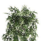 Artificial Star Jasmine Vine hanging plant, UV resistant, 7.8x30 inches, fire-rated NFPA701, from Designer Plants USA.