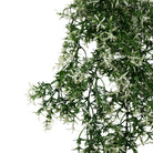 Artificial Star Jasmine Vine hanging plant, 7.8x30 inches, UV resistant, fire-rated, ideal for indoor or outdoor decoration, from Designer Plants USA.
