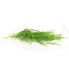 Artificial Weeping Willow Grass hanging bush, 37 inches, UV resistant, with long, sweeping draping foliage for outdoor decor.
