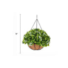 Artificial wide leaf Buxus flowering hanging basket, 18 inches, UV resistant, lush greenery for outdoor decor by Designer Plants USA.