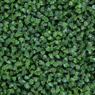 Close-up of a 6ft UV-resistant Boxwood Artificial Hedge by Designer Plants USA, showcasing dense green foliage for landscaping.