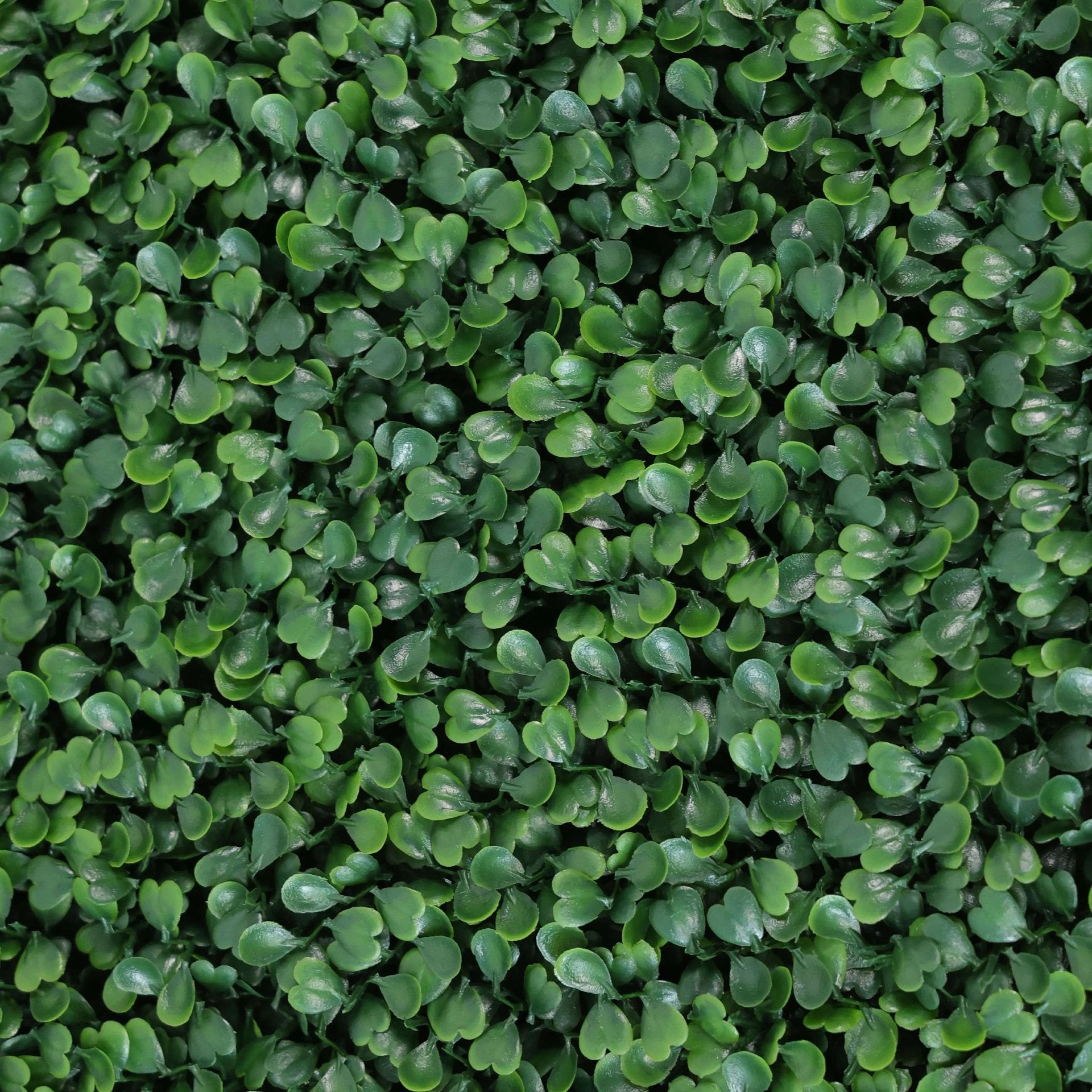 Close-up of a 7.5ft UV-resistant Boxwood Artificial Hedge by Designer Plants USA showing lush green leaves and dense foliage.
