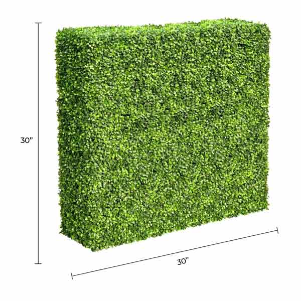 Dark green artificial boxwood hedge roll from Designer Plants USA, UV resistant, 30x30 inches, ideal for privacy fencing.
