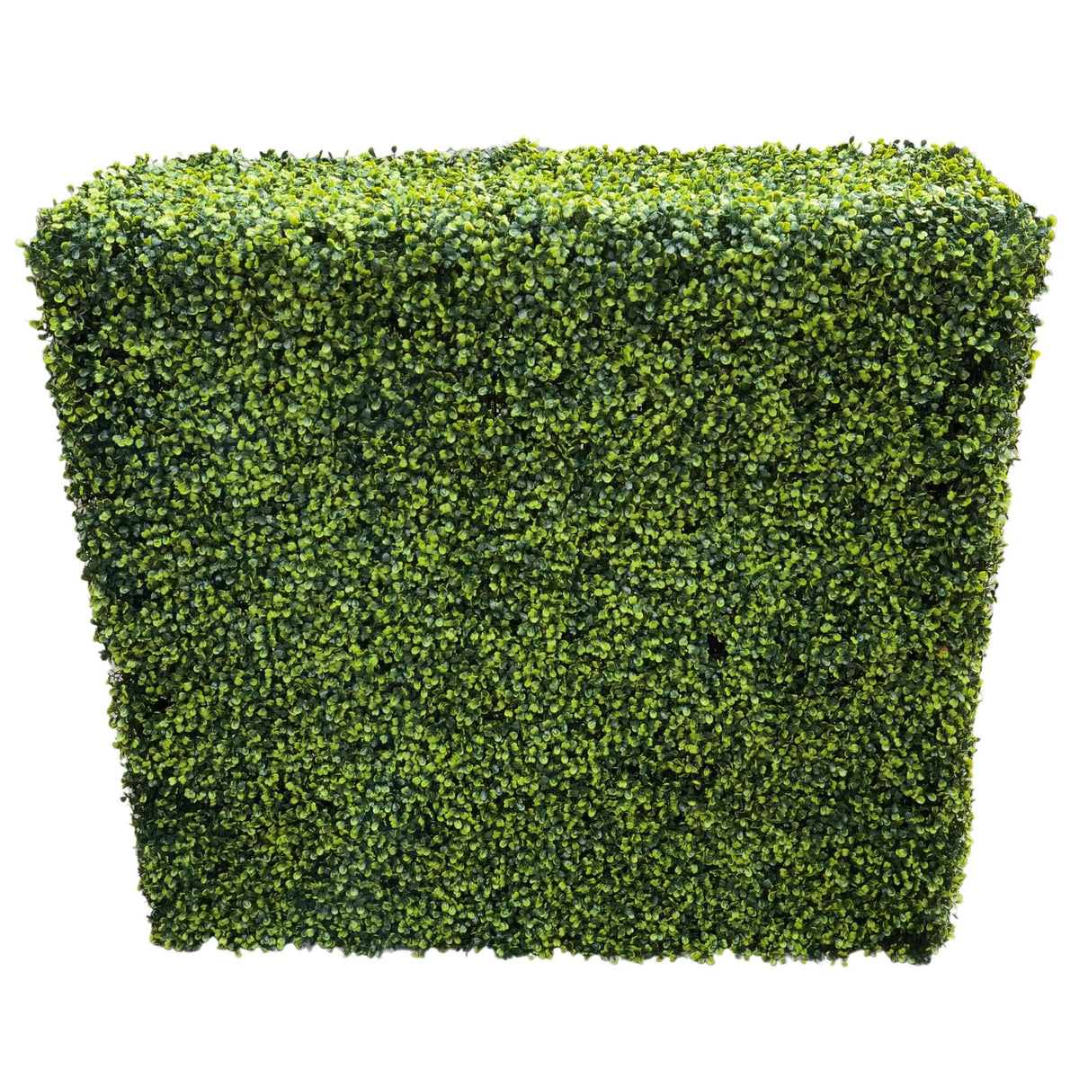 Dark green artificial boxwood hedge, 30x30 inches, UV resistant, commercial grade, freestanding Designer Plants USA hedge for landscaping