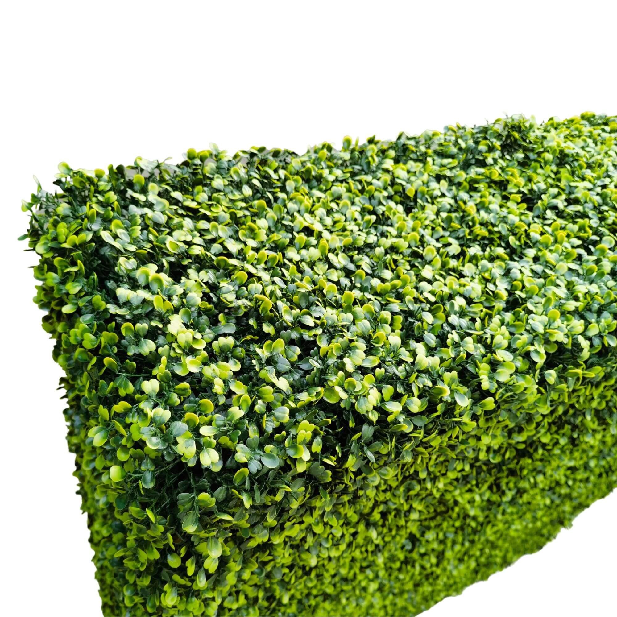 Dark green Designer Plants USA artificial boxwood hedge, 30x30 inches, UV resistant, freestanding with top corner view.