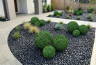 Set of two 15-inch UV-resistant artificial boxwood topiary balls by Designer Plants USA, showcasing lush green foliage.