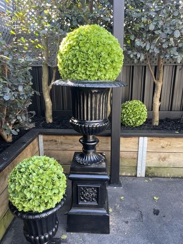 Set of 2 17-inch UV-resistant artificial rose clover topiary balls by Designer Plants USA, lush green decorative plant spheres.