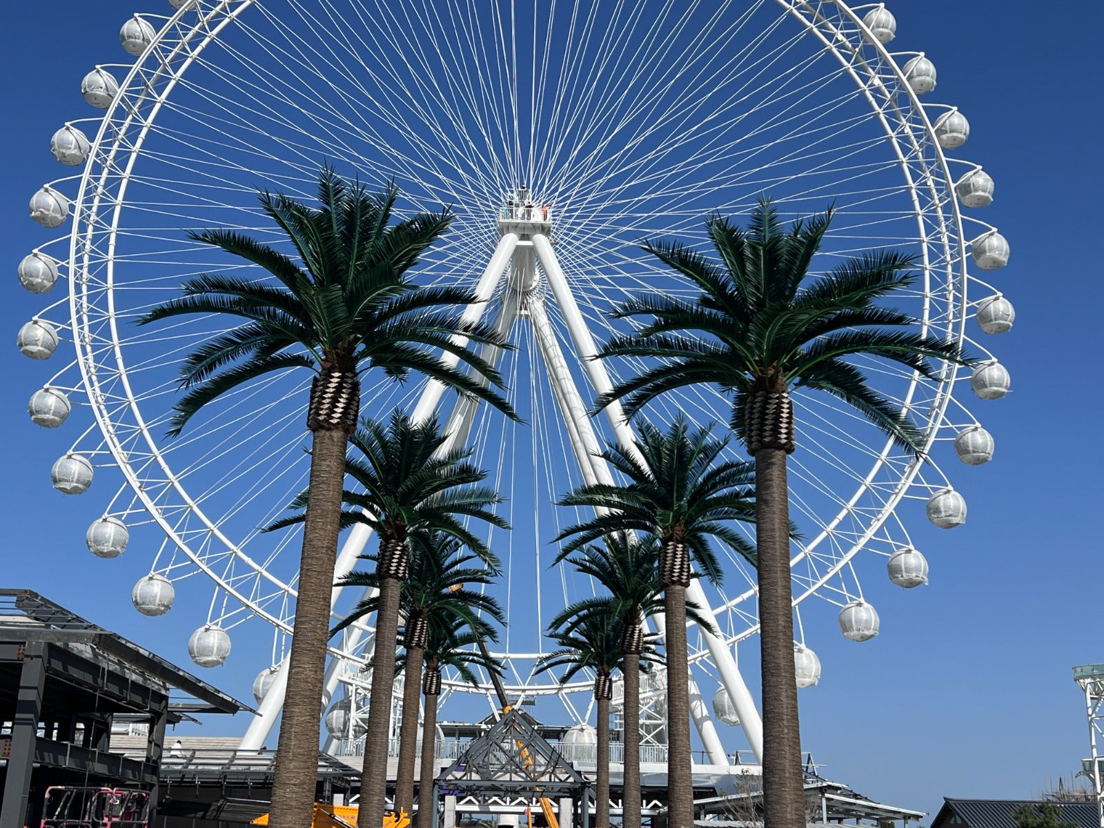 Designer Plants USA 13-23ft Florida Palm artificial tree installed outdoors near a ferris wheel, UV resistant for long-lasting use.