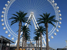 Designer Plants USA 13-23ft Florida Palm artificial tree installed outdoors near a ferris wheel, UV resistant for long-lasting use.