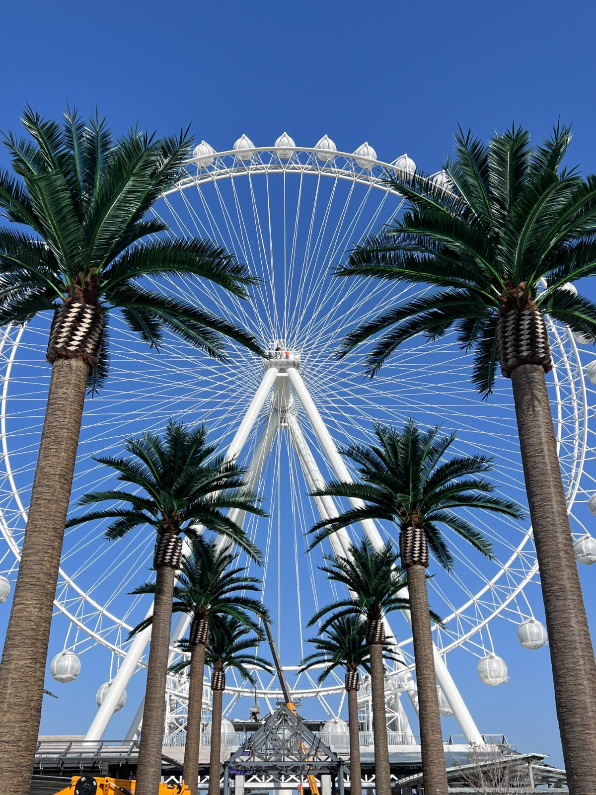 Eight Florida Palm artificial trees, UV resistant, 13 to 23 feet tall, installed in front of a ferris wheel for outdoor landscaping.