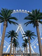 Eight Florida Palm artificial trees, UV resistant, 13 to 23 feet tall, installed in front of a ferris wheel for outdoor landscaping.