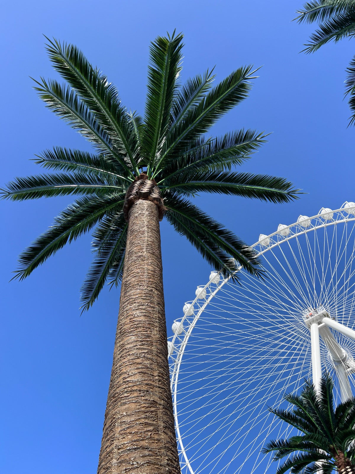 Close-up of Designer Plants USA Florida Palm artificial tree, 13 to 23 ft, with lush green fronds in front of a Ferris wheel.