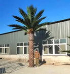 Tall 13 to 23 ft artificial Florida palm tree by Designer Plants USA, UV resistant, with lush green fronds and a sturdy trunk.