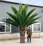 Custom tall Florida Palm artificial tree by Designer Plants USA, UV resistant 13 to 23 feet with lush green fronds.